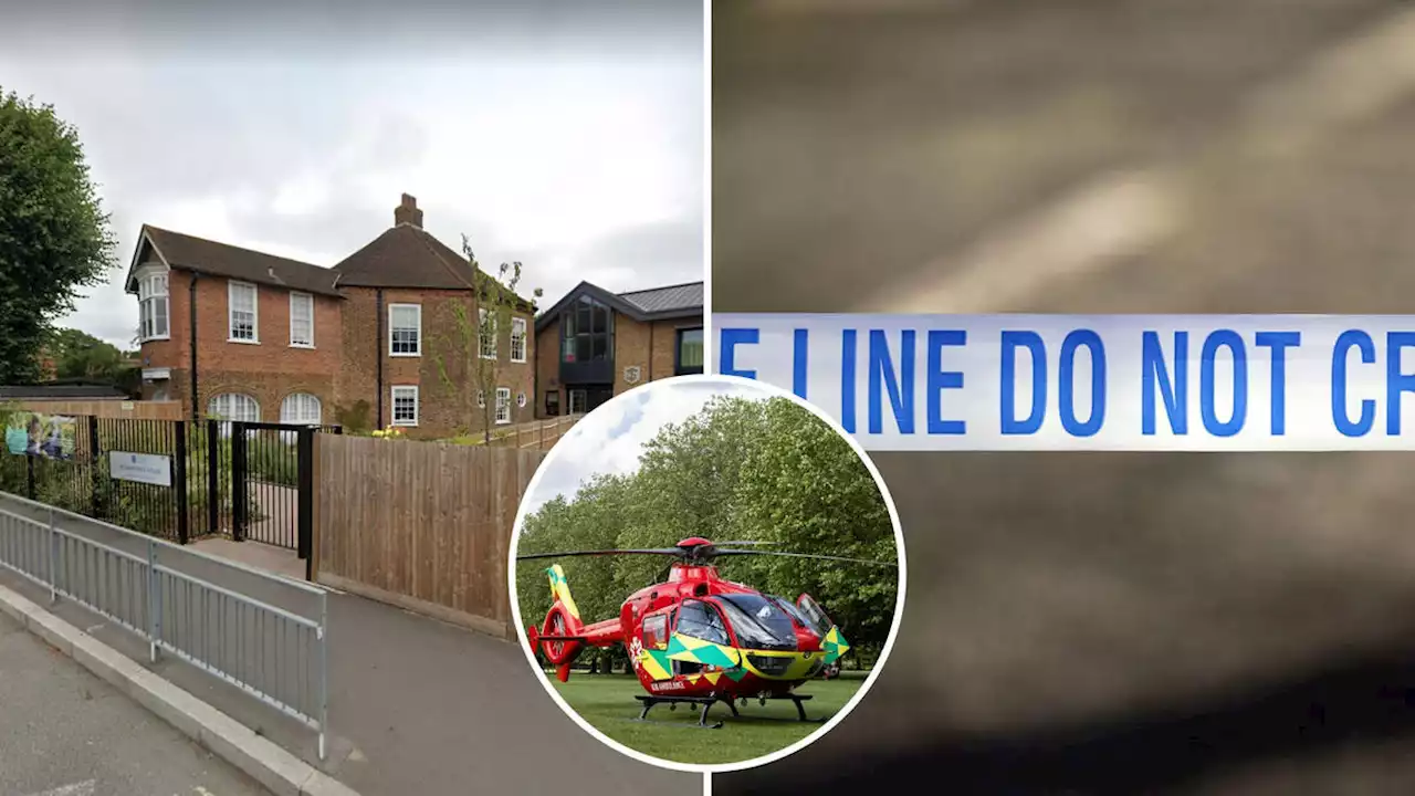 Several people injured as car crashes into primary school in Wimbledon