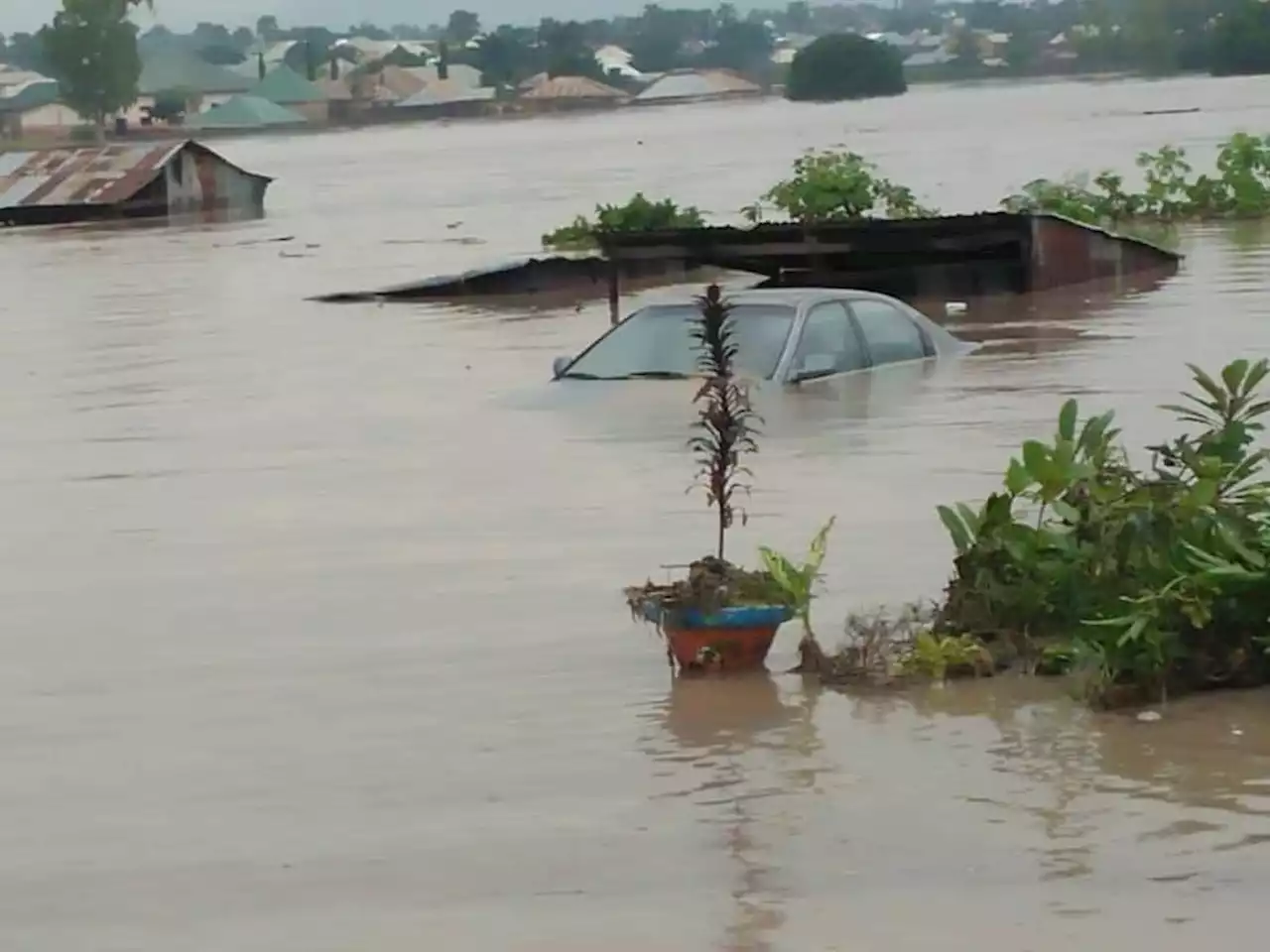 Senate Asks Federal Govt To Fix Dams, Tackle Flooding