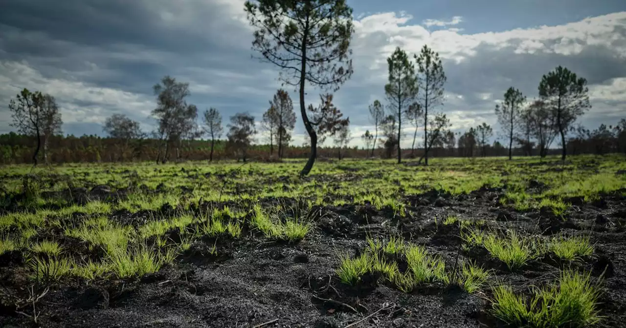 Climat : avions, allergies, villes inondées... Bienvenue dans la France de 2050