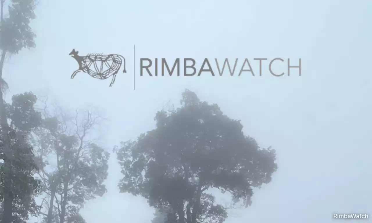 Logging row: RimbaWatch urges police to free Orang Asli protester