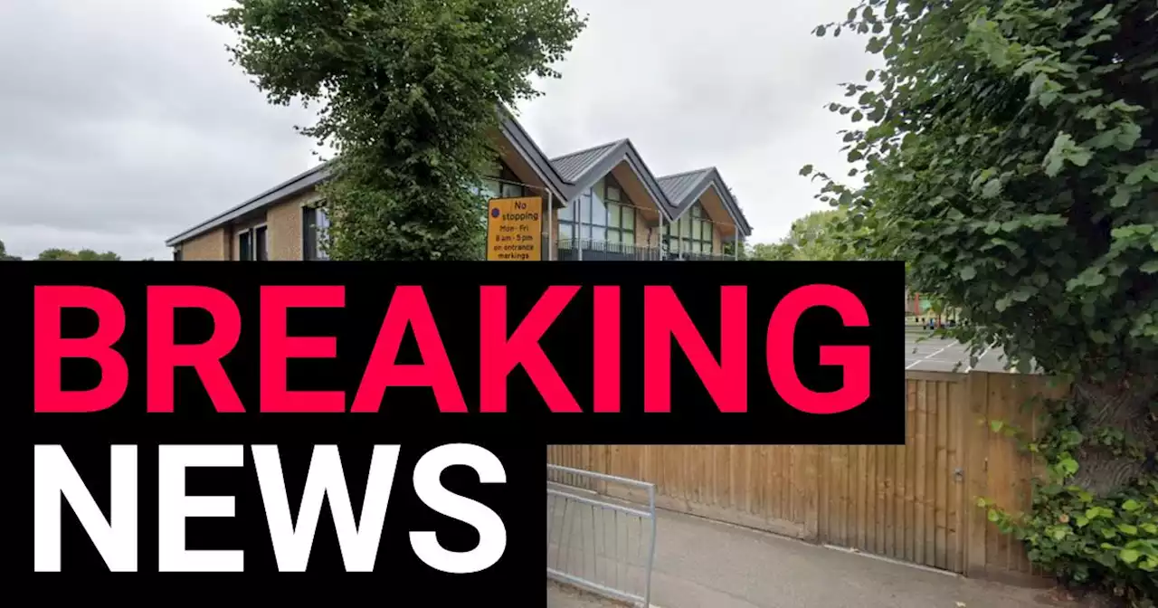 Car crashes into Wimbledon primary school with several injured