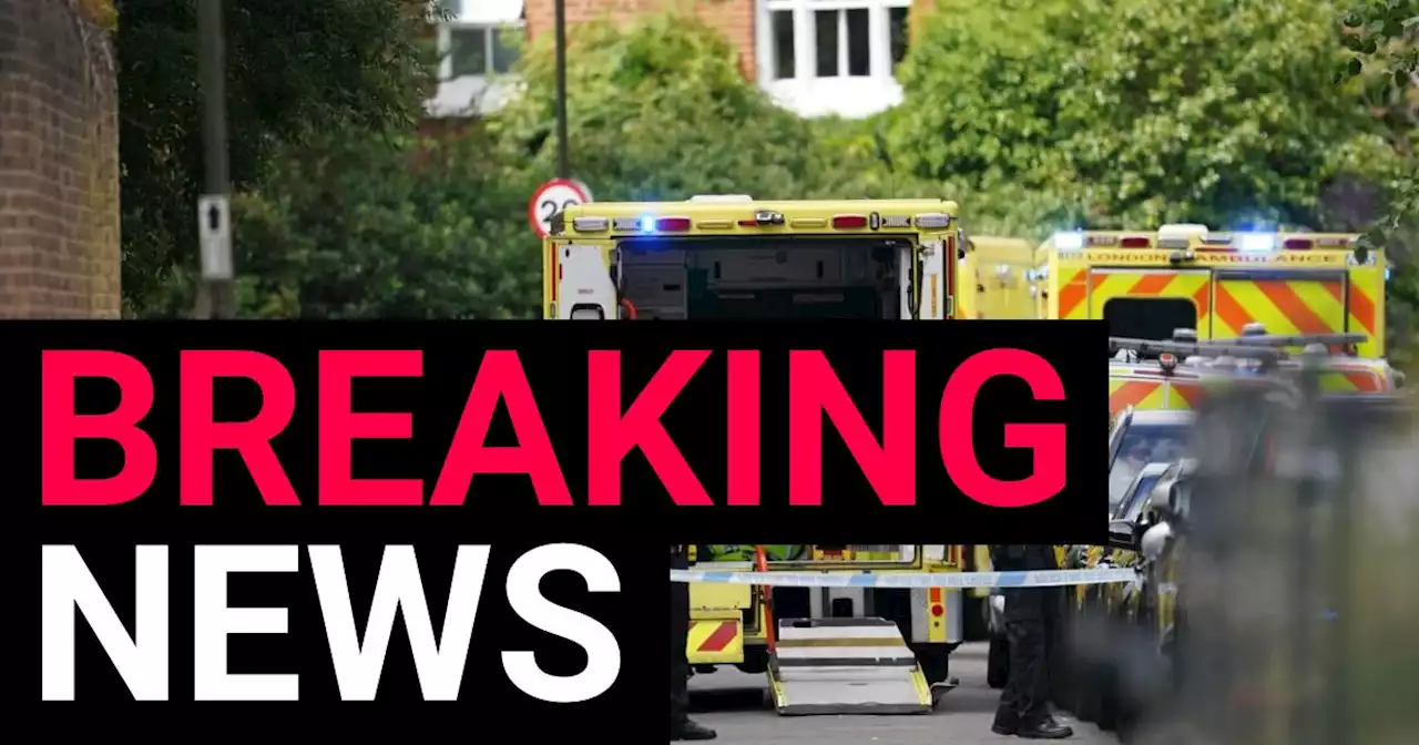 Girl dies and several hurt after Land Rover crashes into Wimbledon school