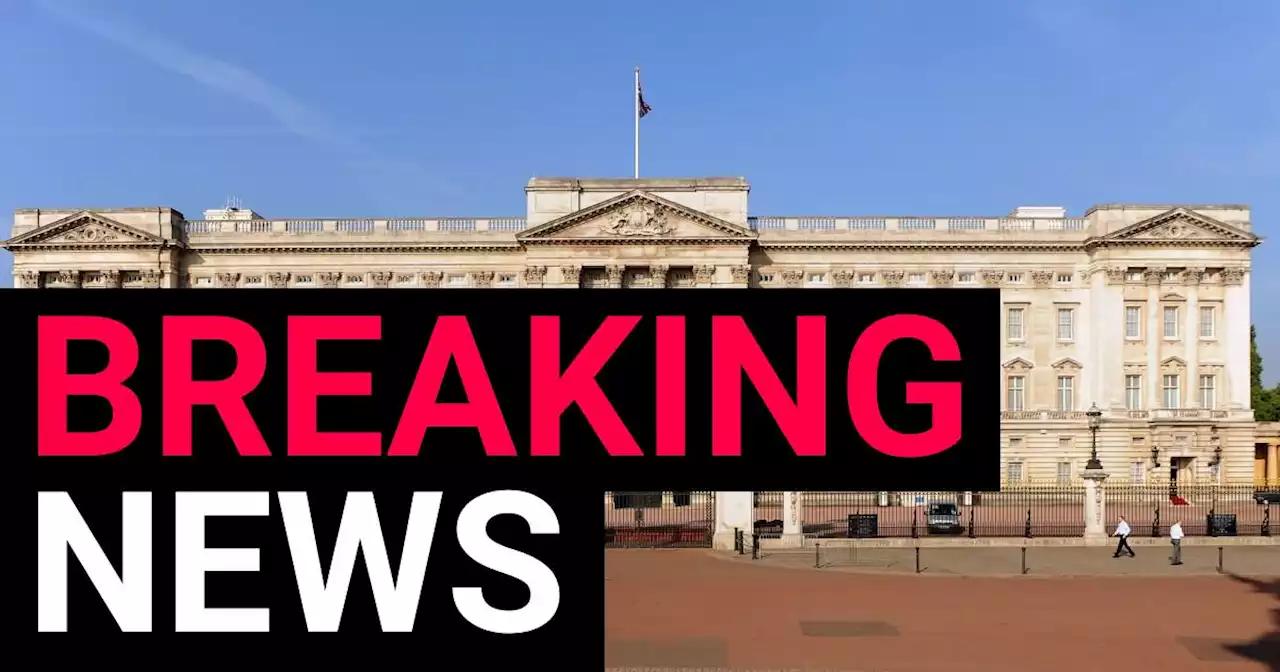 Man handcuffs himself to Buckingham Palace gates