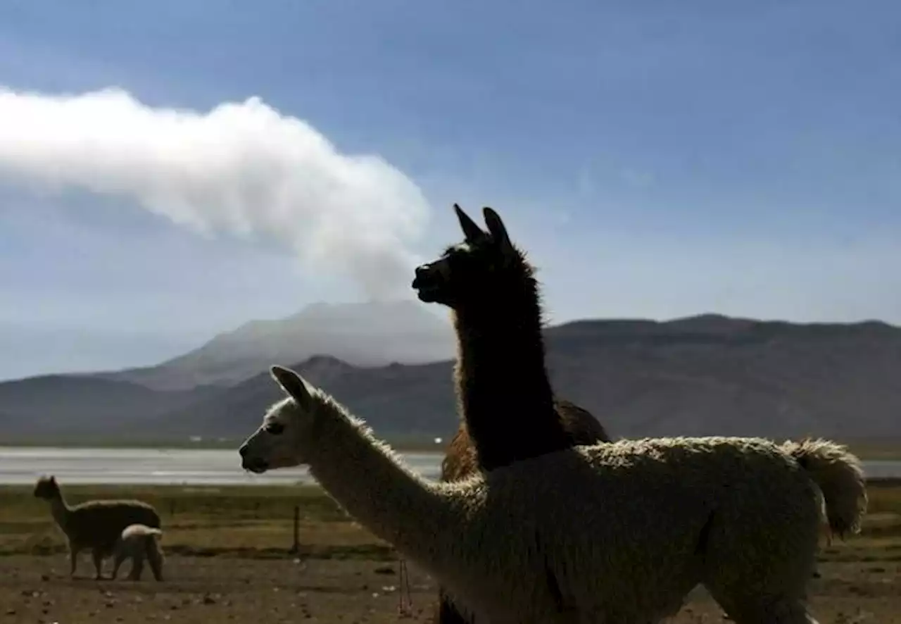 Volcán 'Ubinas' erupciona en Perú | VIDEOS