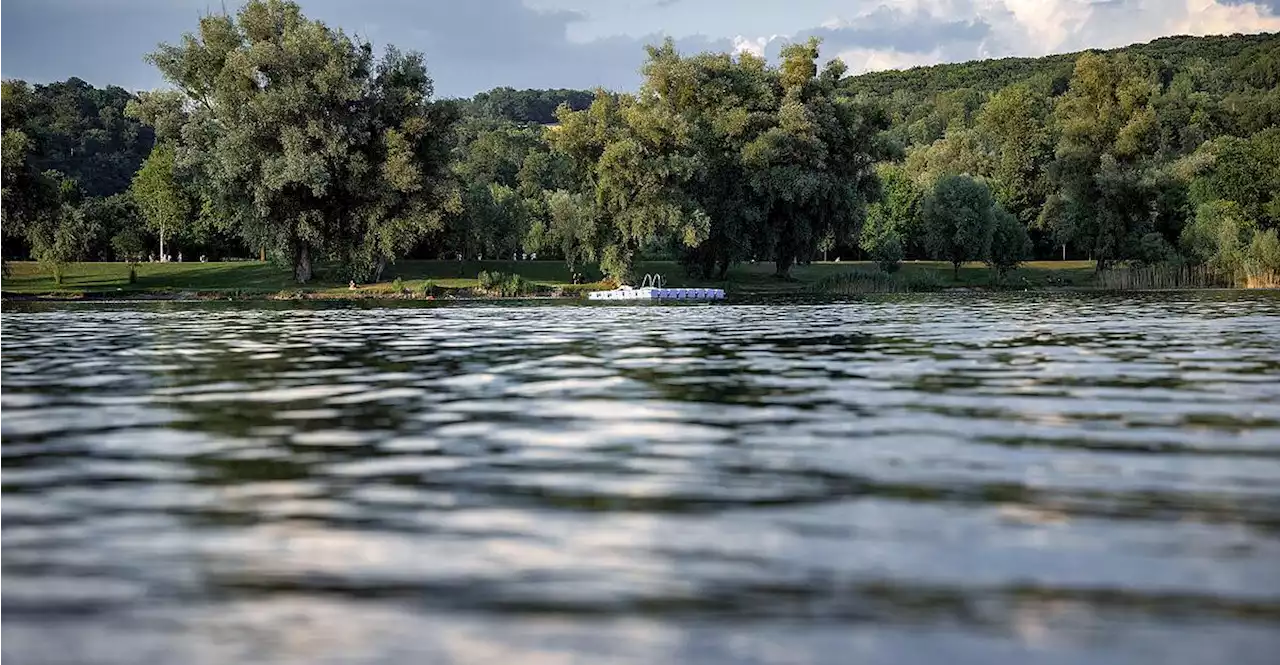 Badeunfall im Pleschinger See: 26-jähriger Syrer tot