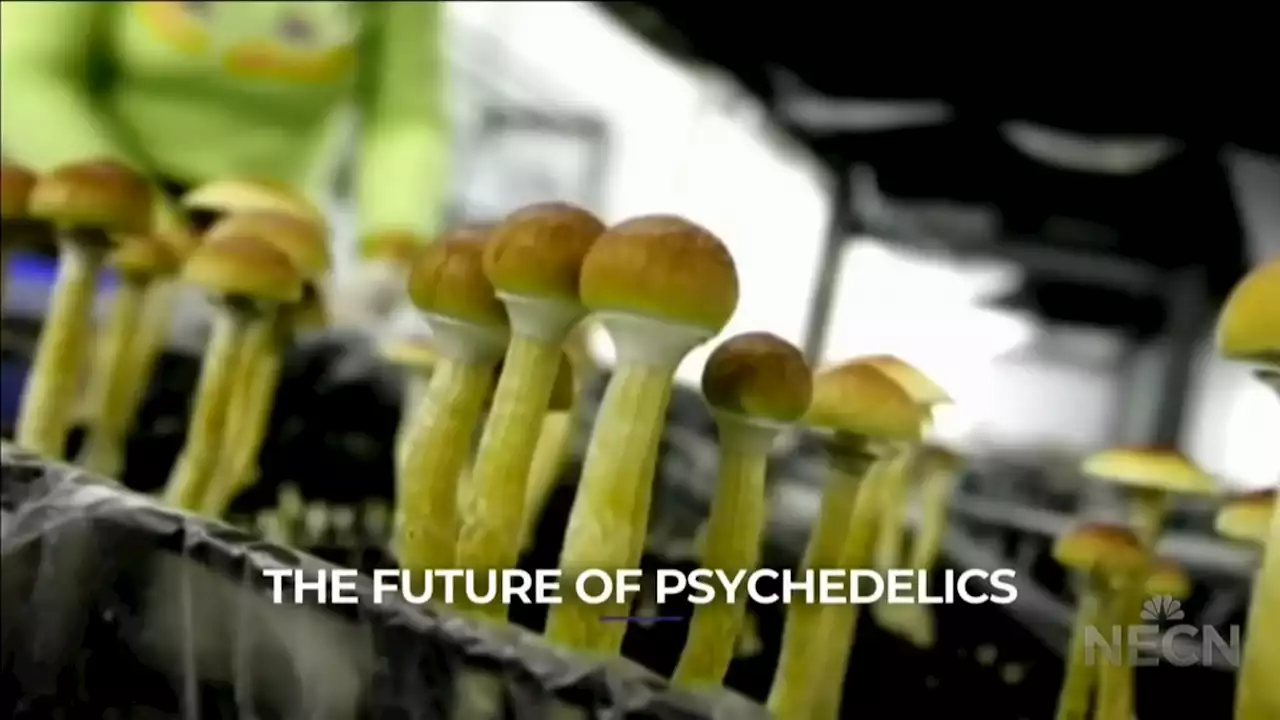 The future of psychedelics