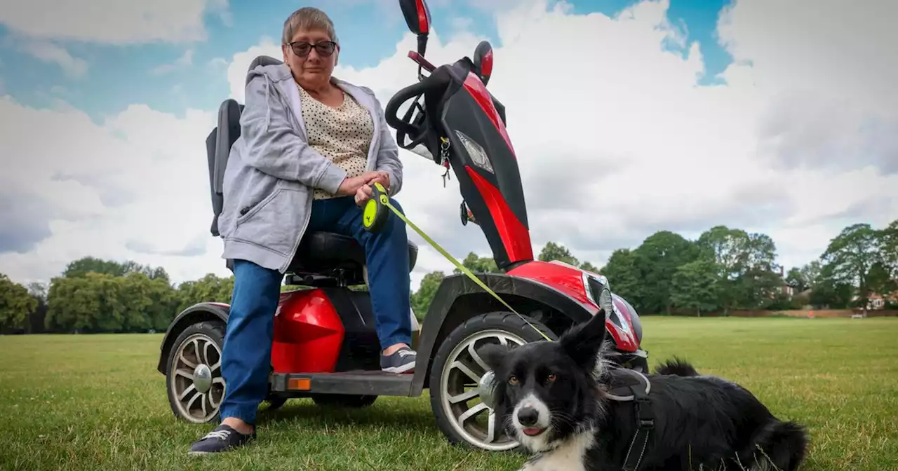 Woman's anger as she is made to keep dog on lead at city park