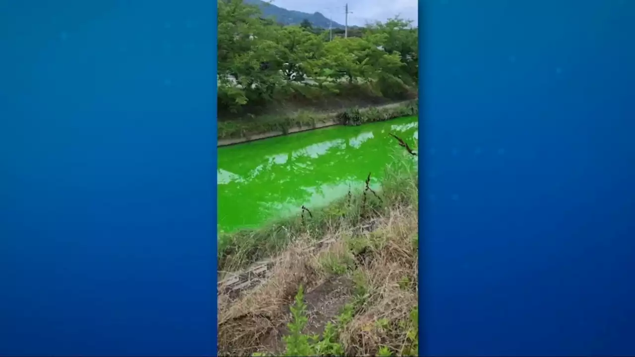 VÍDEO: Autoridades do Japão investigam motivo de rio ter ficado verde-limão