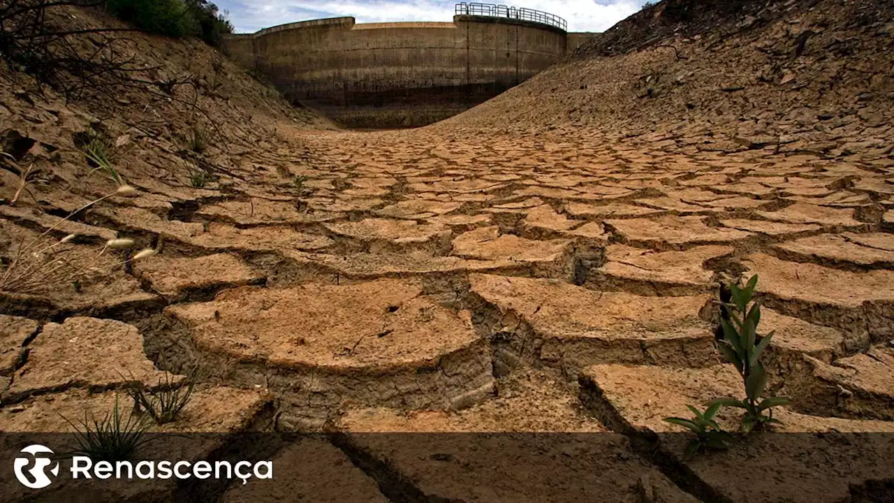 Recorde de temperatura mundial pelo terceiro dia consecutivo - Renascença