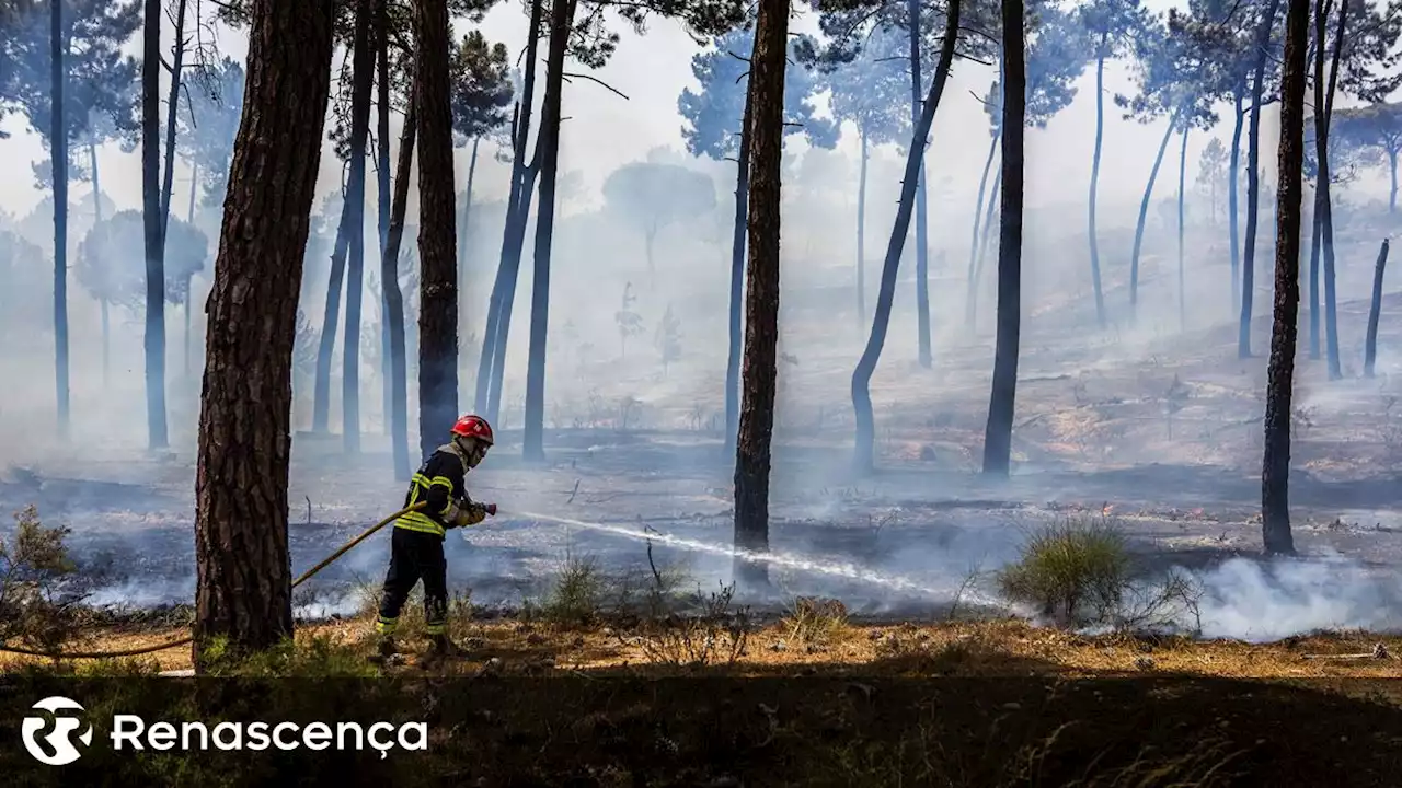 Temperaturas altas. Perigo máximo de incêndio em vinte e dois concelhos - Renascença