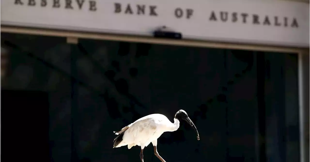 RBA to raise cash rate to 4.35% in August, economists split on peak: Reuters poll