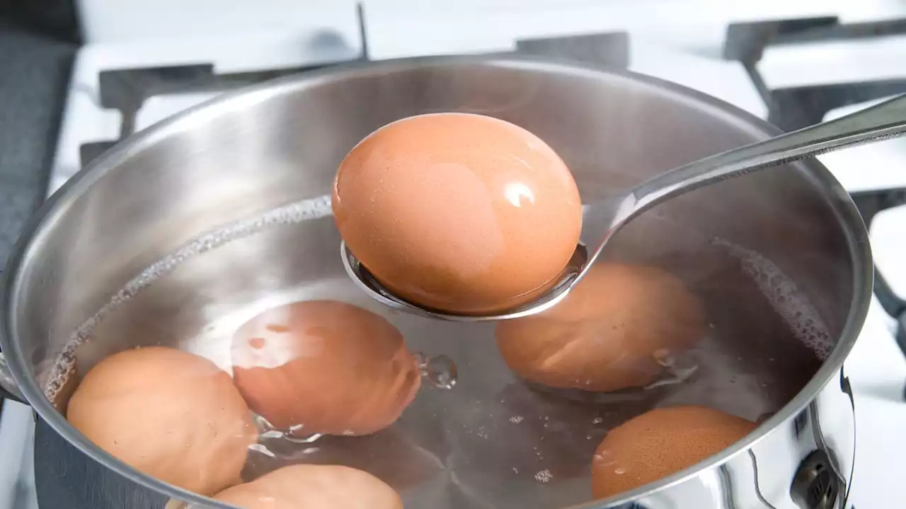 More than a quarter of UK adults have never boiled an egg, Waitrose survey finds