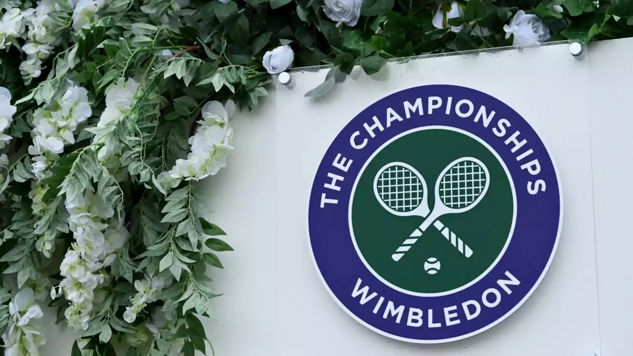 &#8216;Just stop fools&#8217;: &#8216;Pathetic&#8217; Just Stop Oil protesters disrupt Wimbledon match