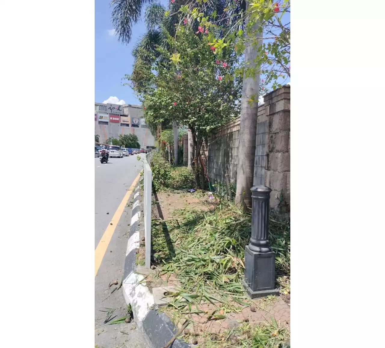 Ipoh City Council removes unkempt plants along pedestrian walkways