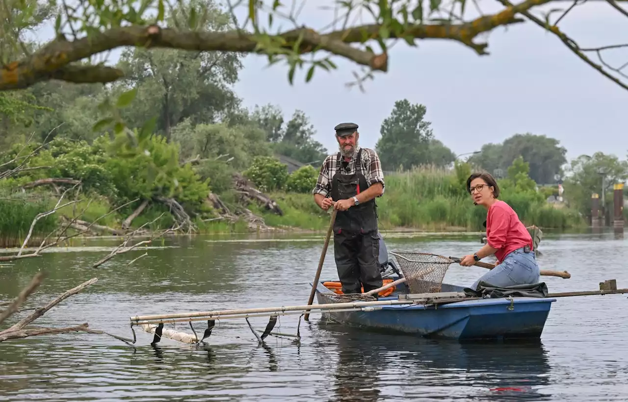 Ein Jahr nach dem Fischsterben – Sie fürchten das nächste Unglück an der Oder