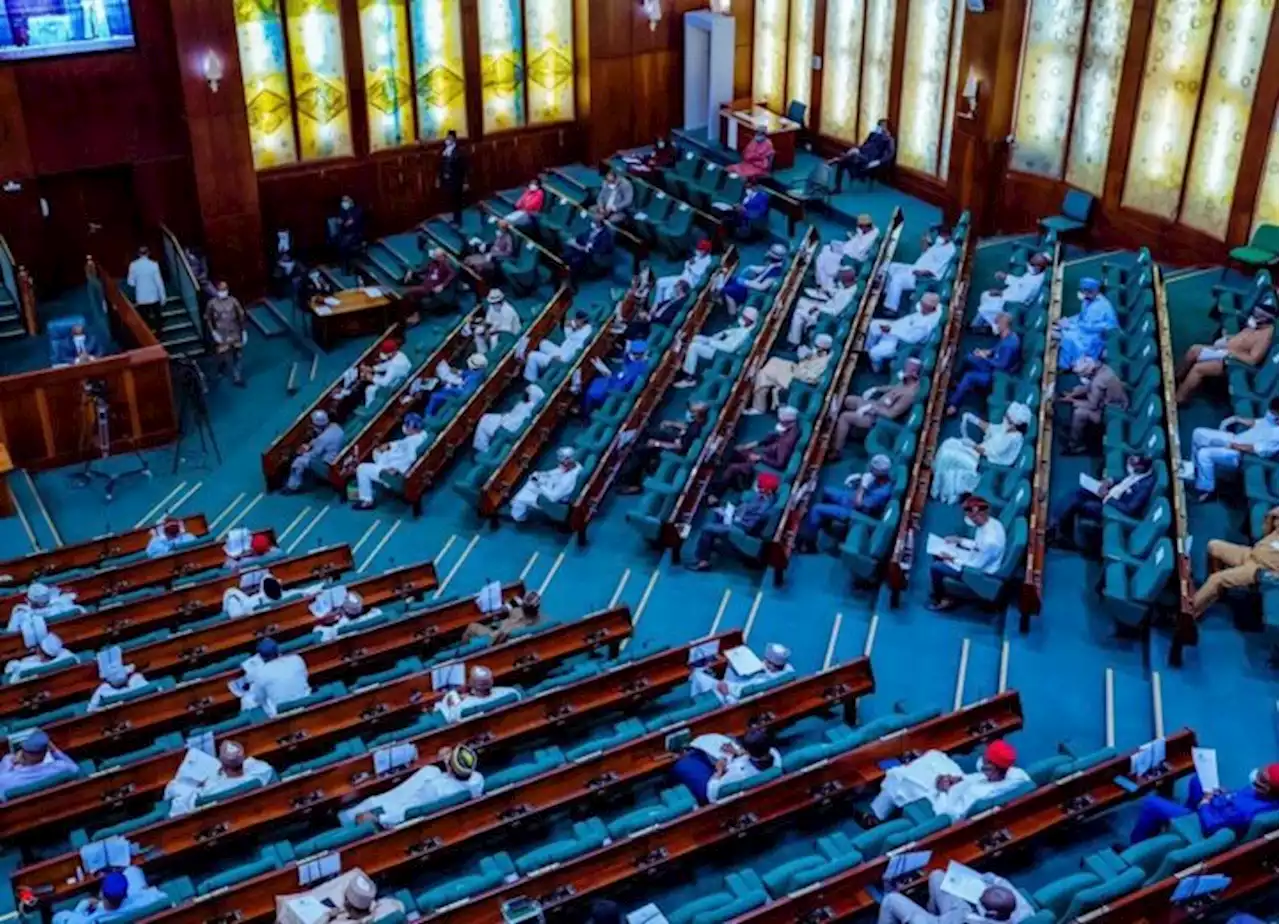 Rep wants Nnamdi Kanu released to end killings in south-east -- but house shelves motion | TheCable