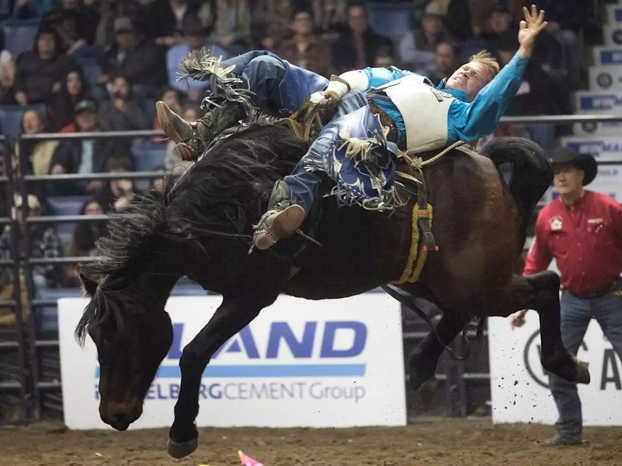 Prepping the body for the bucking; more rodeo athletes buckle down