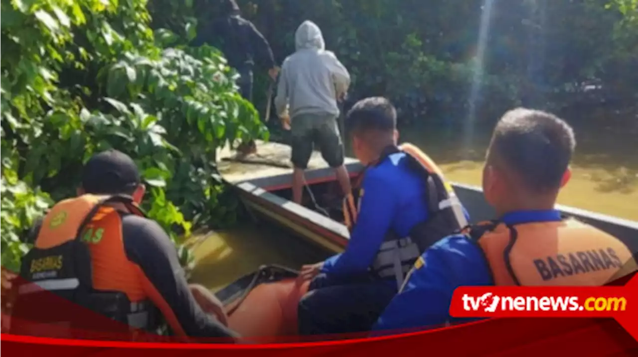 Pencarian Warga Diterkam Buaya di Konawe Selatan, Basarnas Bagi 3 Tim Sisir Sungai