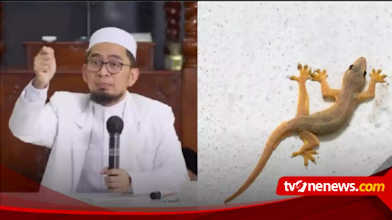 Terdapat Banyak Cicak di Rumah Anda? Wajib Waspada kata Ustaz Adi Hidayat, Ternyata Menandakan..