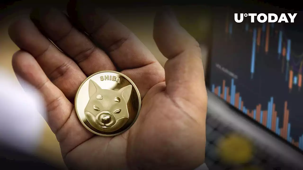 Here's Why Shiba Inu (SHIB) Has Hope, Despite Suppressed Price