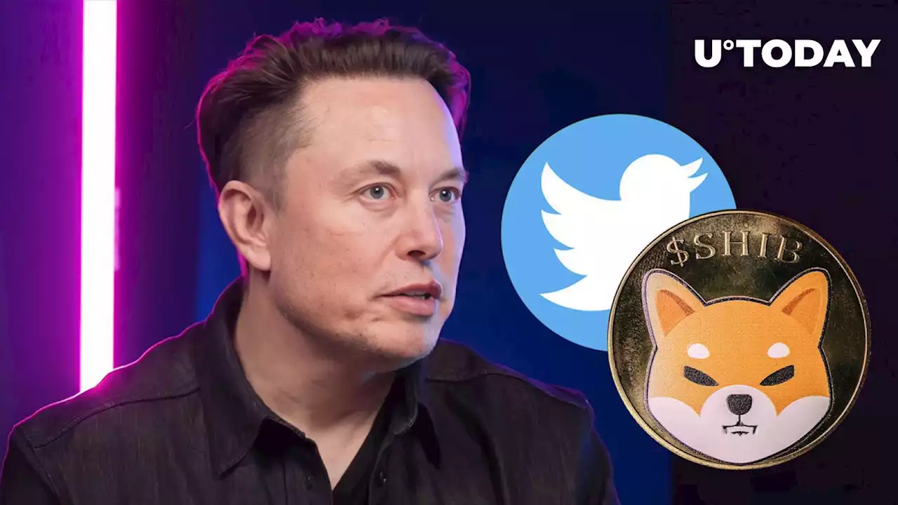 Shiba Inu Leader Shytoshi Kusama Holds Fingers Crossed For Elon Musk and Twitter: Details