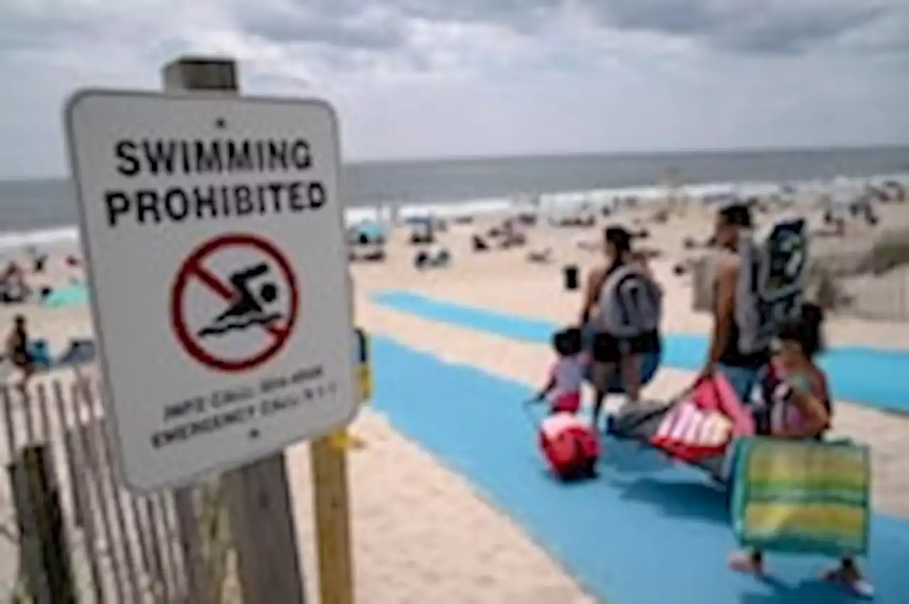 At least 4 shark bites in New York in 2 days despite boosted surveillance