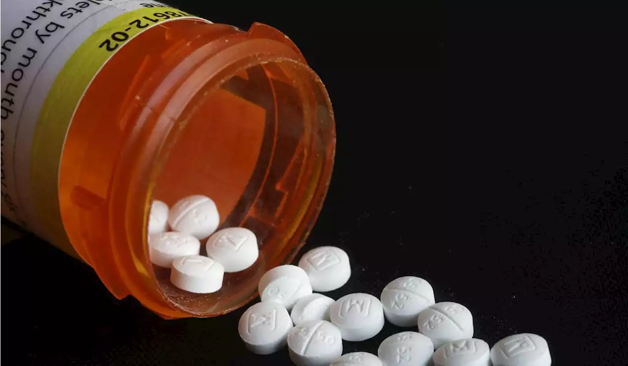 Maryland pharmacy fined $120,000 for wrongful opioid prescriptions