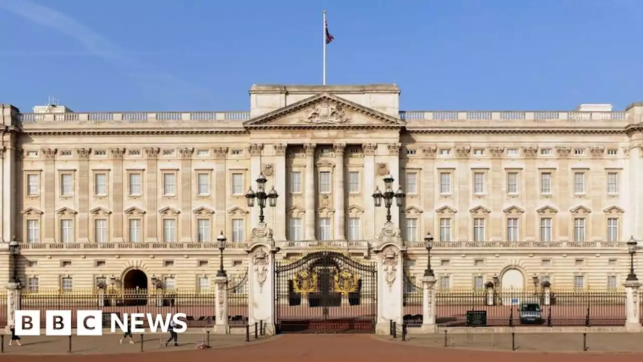 Buckingham Palace: Man arrested after handcuffing himself to gates