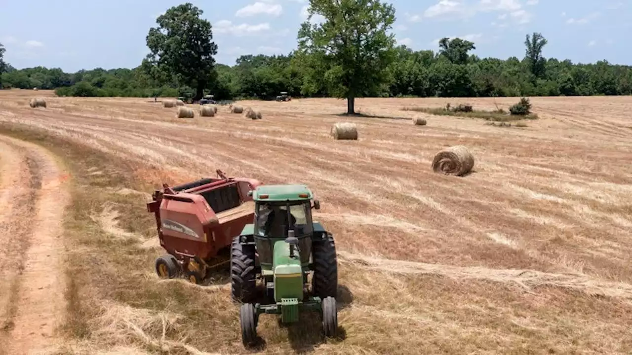 USDA begins accepting discrimination relief applications from farmers | CNN Politics