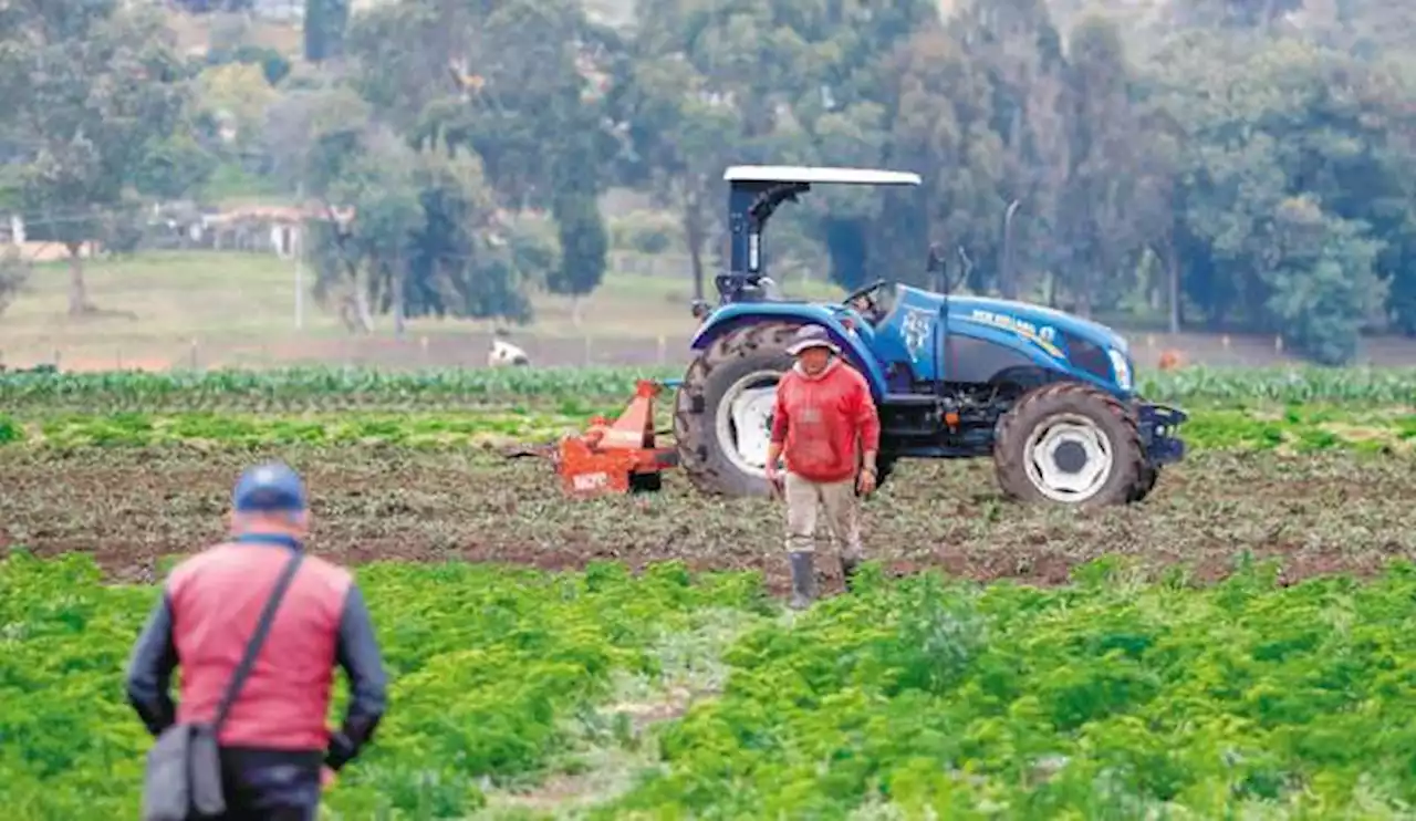 Naciones Unidas resaltó las apuestas de la reforma agraria