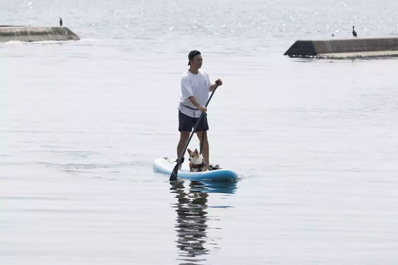 Cold front to bring relief in Central Canada, but heat wave continues on coasts