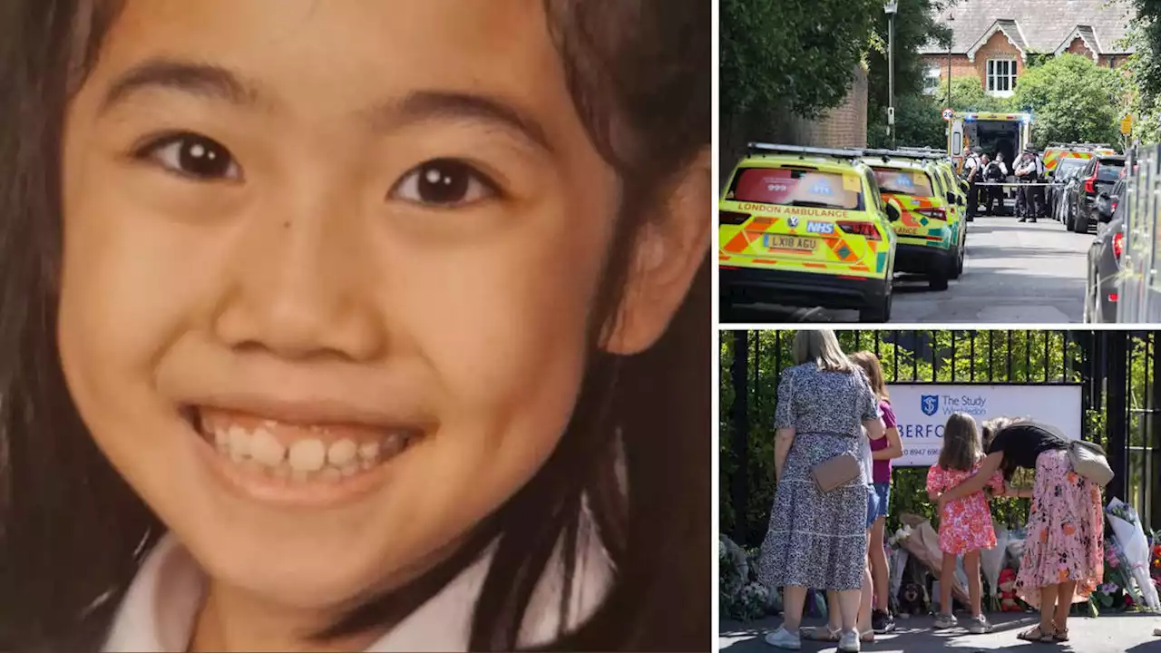 'Adored and loved by everyone': Wimbledon crash victim, 8, named and pictured as family pay tribute