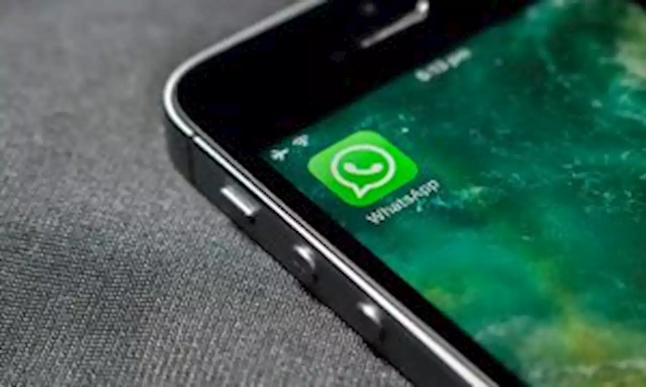 8 consejos para evitar el secuestro de cuentas en WhatsApp; es necesaria la verificación - Pulzo