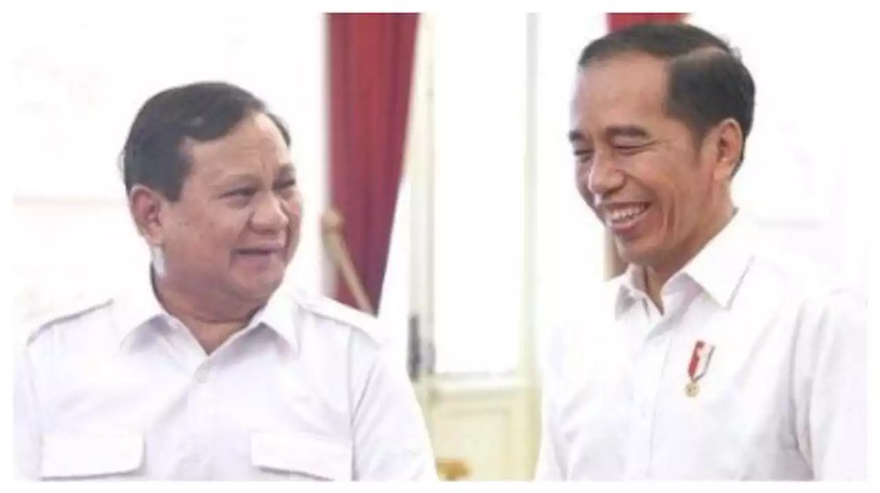 Pilpres 2024, Presiden Jokowi Disebut Makin Mesra Bersama Prabowo Subianto - Tribunnews.com