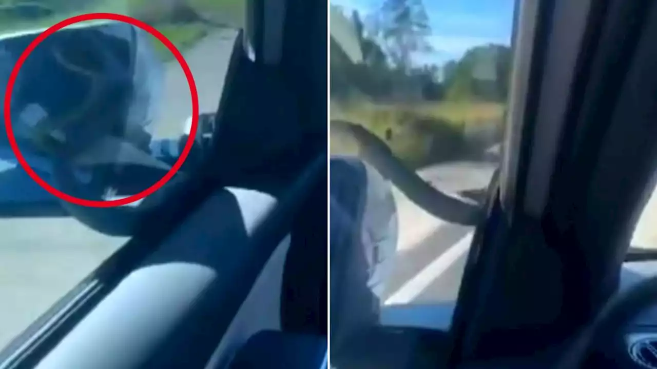 Horrifying find on dashboard during Aussie driver’s roadtrip