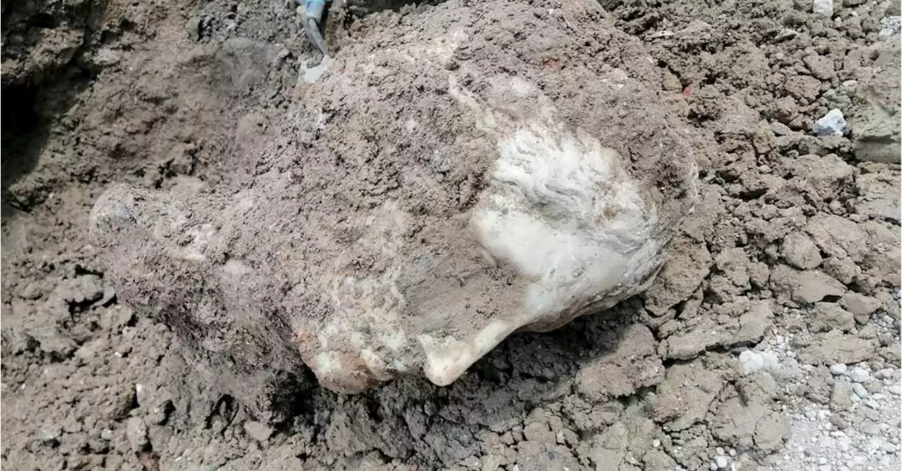 Priceless ancient treasure pulled out of construction site