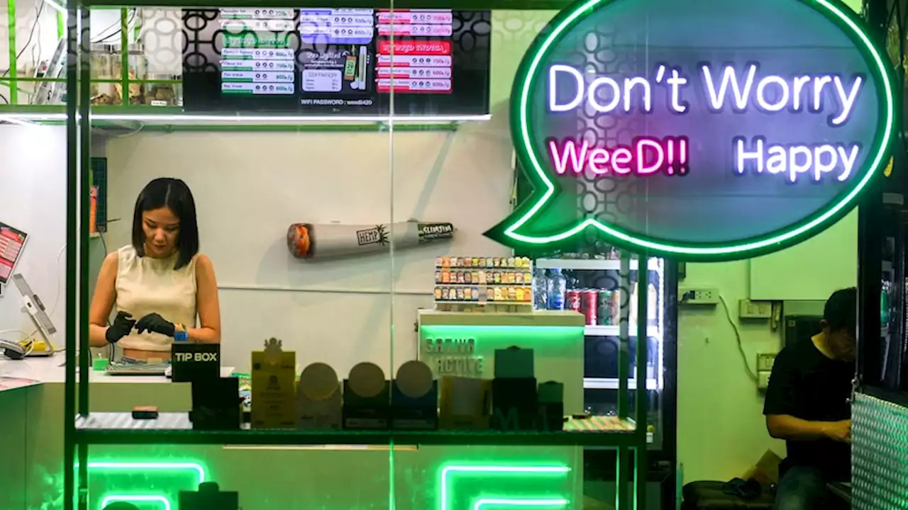 'Sorry, we're stoned': What can Australia learn from Thailand a year after weed became legal?