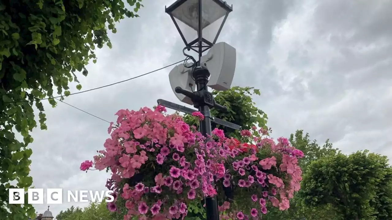 Salisbury City Council: Scrapped hanging baskets spark division