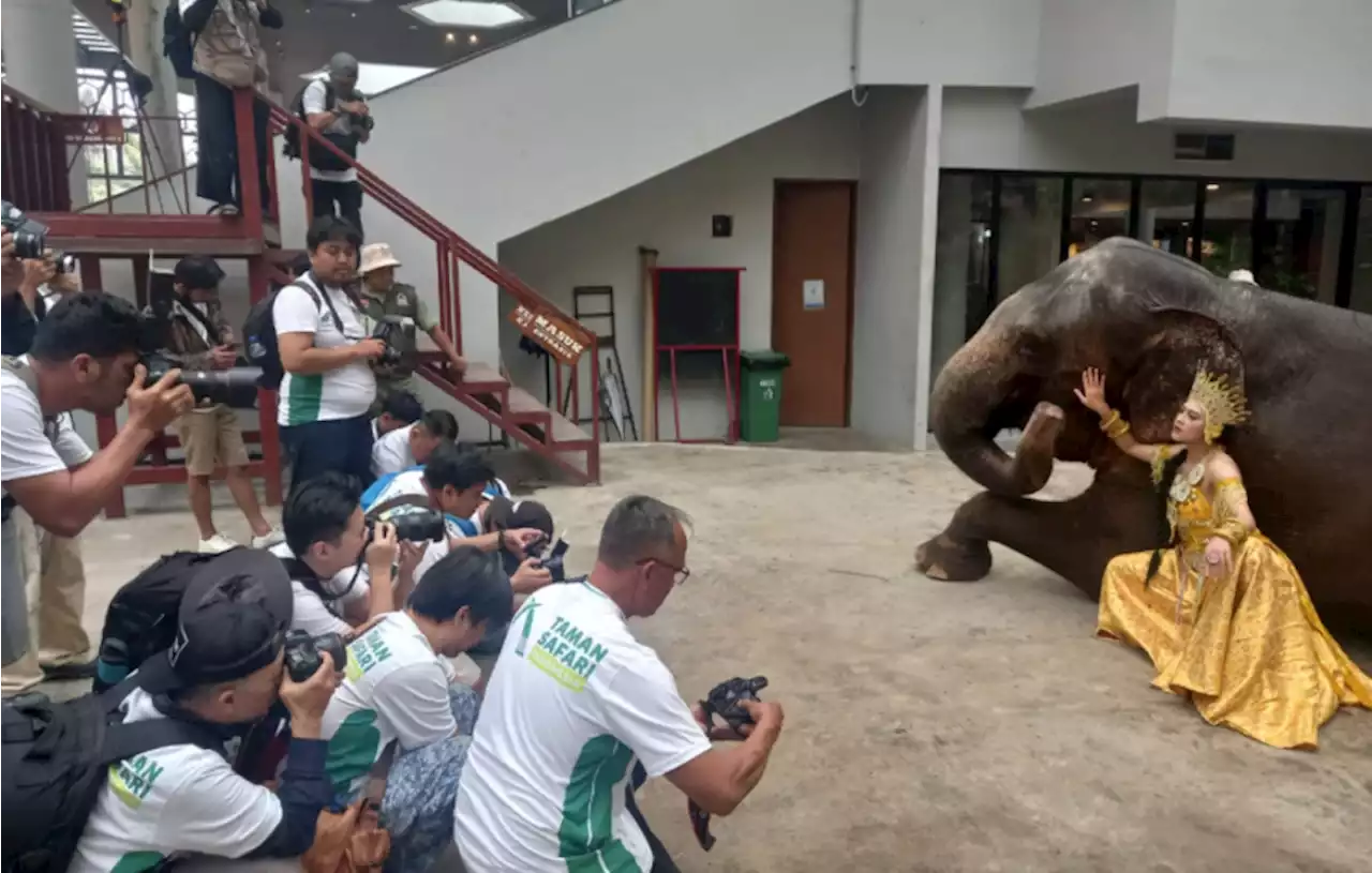 Lomba Foto Satwa IAPVC 2023 Dibuka, TSI Siapkan Hadiah Mobil Listrik