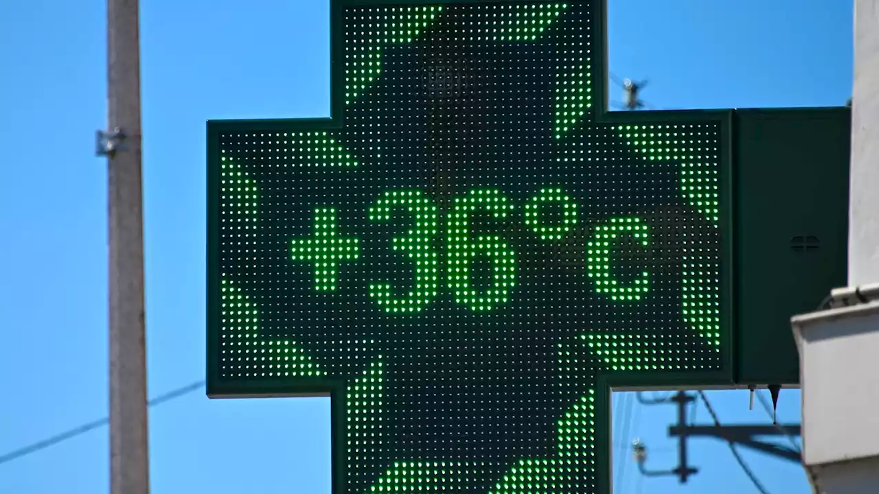 Canicule: les autorités se préparent à un 'pic de chaleur' dans cinq régions ce week-end