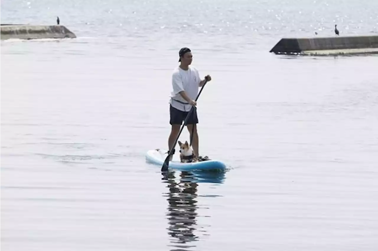 Cold front to bring relief in Central Canada, but heat wave continues on coasts