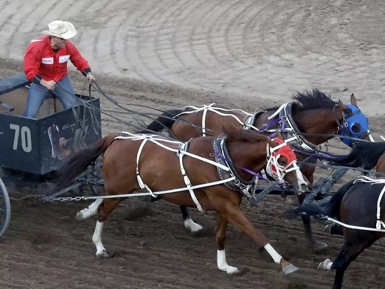 Chuckwagon star Chanse Vigen heats up just in time for Calgary Stampede