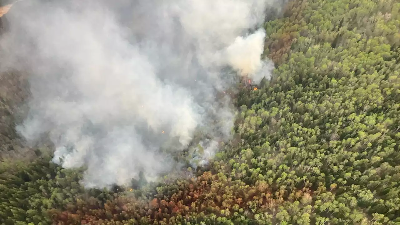 Spallumcheen, B.C., orders evacuation for 18 properties as lightning triggers fire