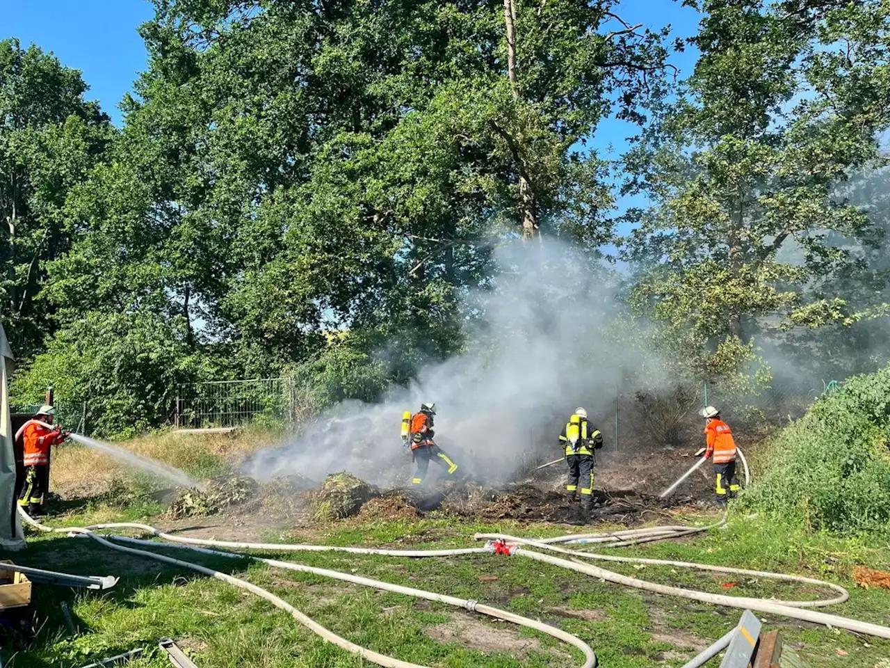 Feuer droht auf Wald überzugreifen