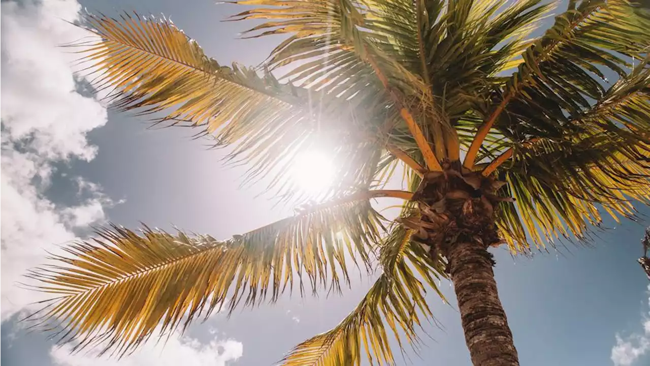 Canicule : quatre départements du sud-est en vigilance orange dimanche, annonce Météo-France