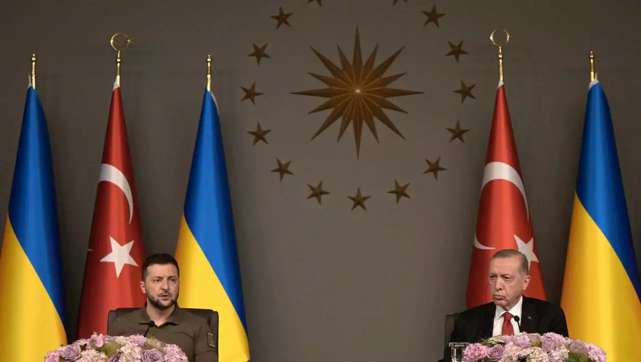 Erdoğan drückt Unterstützung aus: Ukraine »verdient Mitgliedschaft in der Nato«