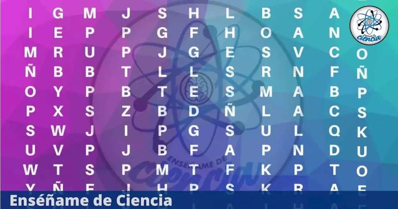 Resuelve el acertijo visual con éxito: Encuentra “ATMÓSFERA” en la sopa de letras, tienes 6 segundos