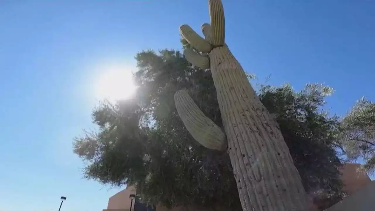 Tempe youth start audio project on extreme heat