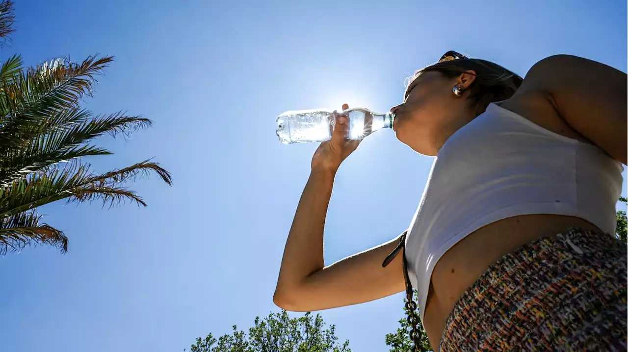 Canicule : 'On va avoir plusieurs jours consécutifs de chaleur intense', explique une prévisionniste de Météo France