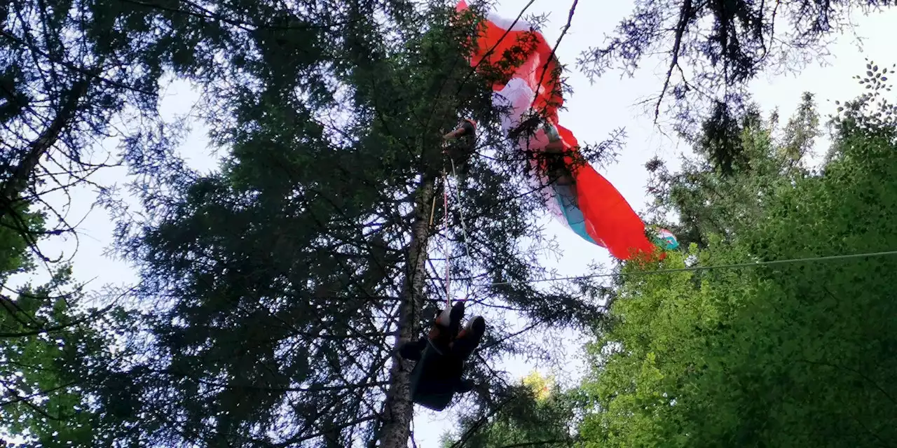 Mann stürzt mit Paragleiter ab, bleibt in Baum hängen